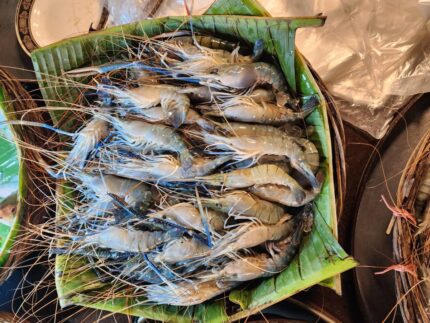 নদীর গলদা চিংড়ি